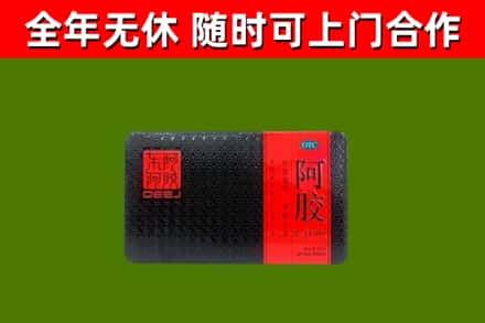 阿拉善烟酒回收阿胶.jpg